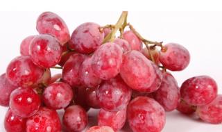 如何选购新鲜的葡萄呢 想要买到新鲜的葡萄