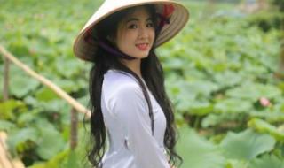 去越南旅游要多少钱