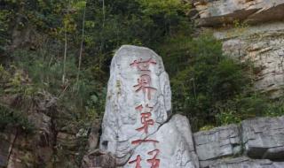 张家界百龙天梯多高 张家界百龙天梯多高