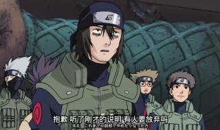 忍者村大战月光疾风