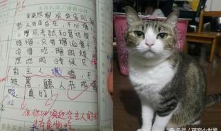 我的好朋友200字作文