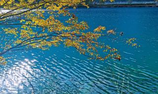 天龙八部秋水无痕剑