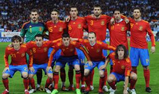 在南非世界杯西班牙 在南非世界杯西班牙