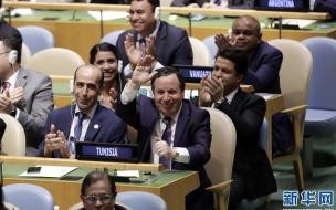 圣文森特和格林纳斯丁是什么 圣文森特是哪个国家