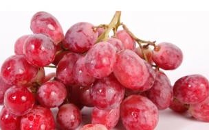 想要新鲜的葡萄怎么挑购 如何选购新鲜的葡萄呢 想要买到新鲜的葡萄