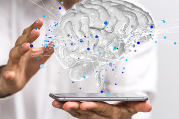 我是一只小小小小鸟的歌词 我是一只小小鸟赵传