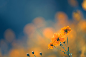 我需要 田馥甄一一巡回演唱会,帮忙找一下演唱会网盘资源呗! 田馥甄演唱会完整版