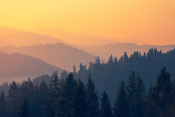 怎样将电网头条app阅读模式设置成大图模式 电网头条app官方下载