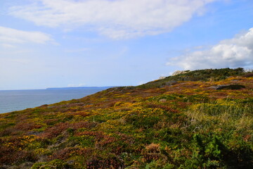 我的姐姐作文800字五篇 我的美女姐姐完整版