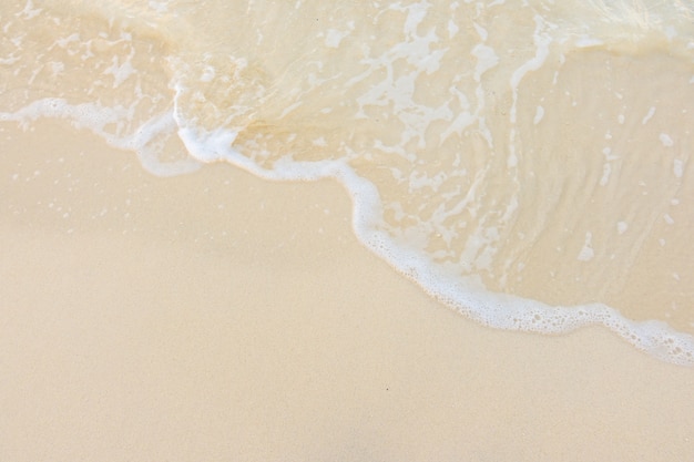 怎样将电网头条app阅读模式设置成大图模式 电网头条app官方下载