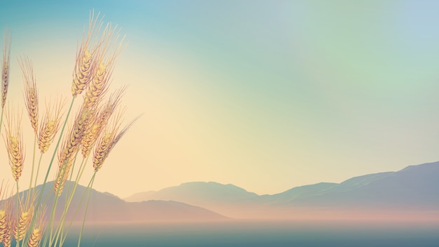 微信红包里的200元是什么意思 微信红包200元图片