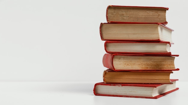 我的姐姐作文800字五篇 我的美女姐姐完整版