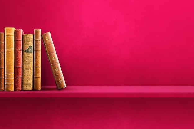 我真的好想要个哥哥啊 你的好大啊我还想要